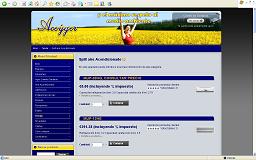 Web Aceyger Hostgreen.com